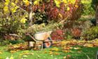 Autumn brings with it a host of garden jobs and while a trusty wheelbarrow is helpful, sometimes extra power is called for.