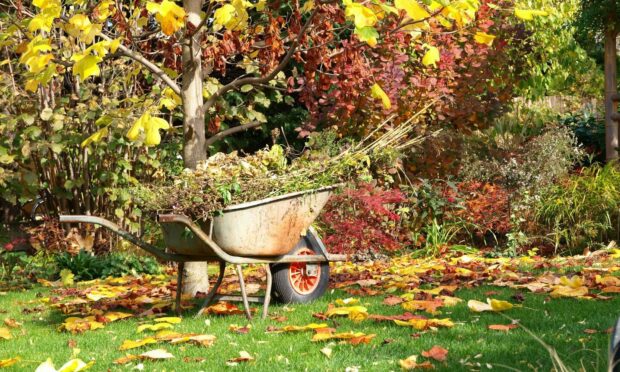 Autumn brings with it a host of garden jobs and while a trusty wheelbarrow is helpful, sometimes extra power is called for.