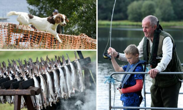 Moy Country Fair returned rebranded to attract a wider audience. Picture by Sandy McCook/DC Thomson.