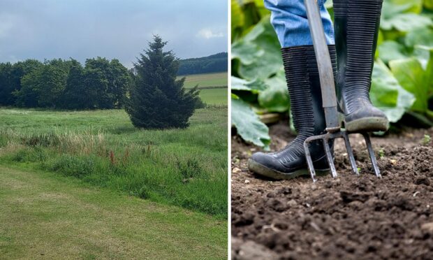 Aberdeenshire Council has approved plans for new allotments in Oldmeldrum