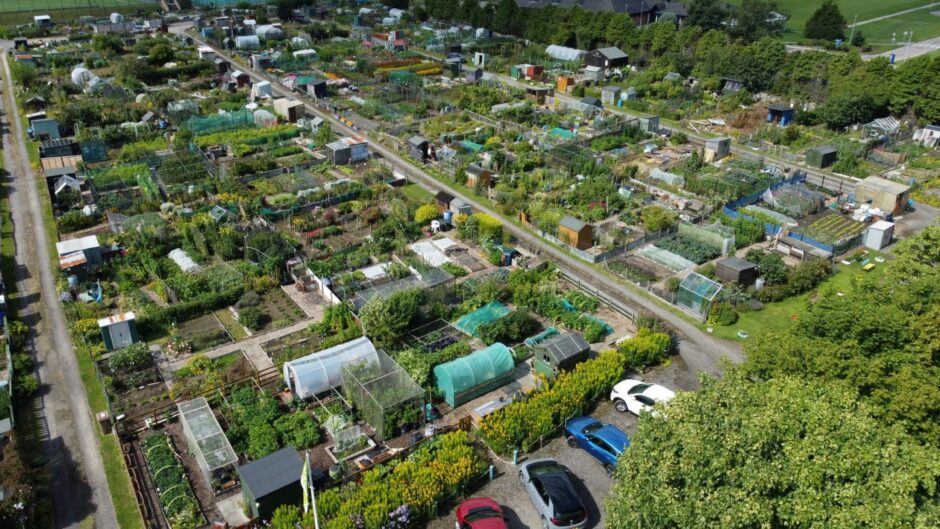 slopefield allotments in aberdeen