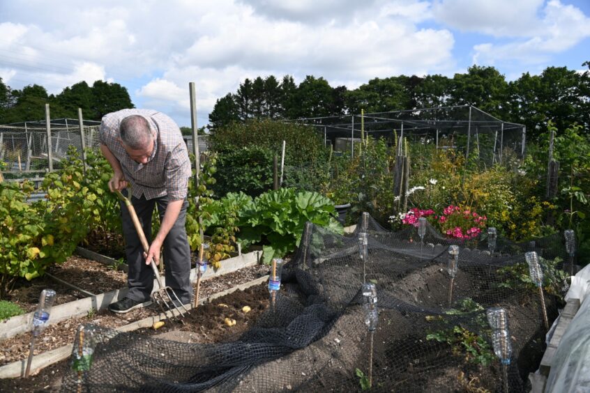 Slopefield allotments in Aberdeen