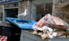 bin strikes in Aberdeen could be good news for the sea