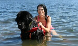 Gayle with Cindy the water rescue Newfoundland puppy. Picture by Paul Glendell.