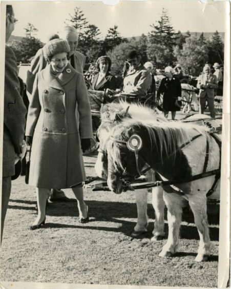 Queen Elizabeth II standing next to two ponies 