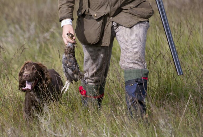 Glorious Twelfth? Is grouse shooting still a celebrated tradition?