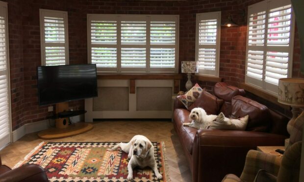 Leather sofas and shutters are a good start when you have pets.