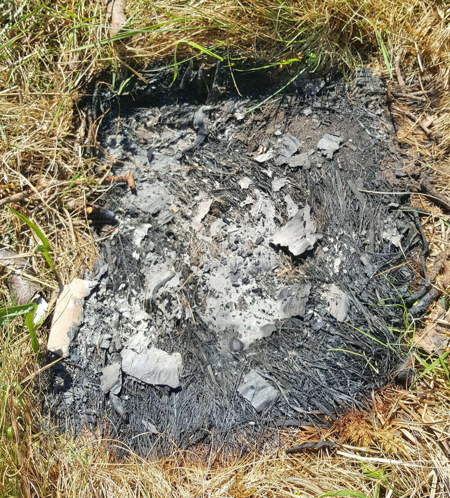 A burned patch of grass caused by a disposable barbecue.