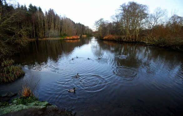 Haddo Country Park. DCT Archives.