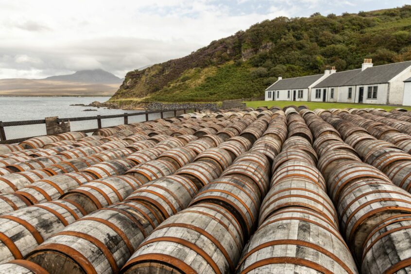 Sherry barrels lined up to be filled with whisky.