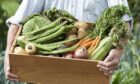 Moray Council approves allotment site in Elgin. Image: Shutterstock
