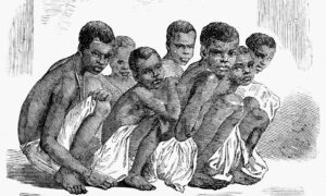 Engraving of African Slaves Brought To Jamaica