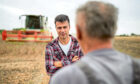 Two farmers chat during harvest