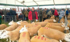 A total of 3,626 rams were knocked down at Border Union’s Kelso Ram Sales yesterday, for a record average price of £999.39.