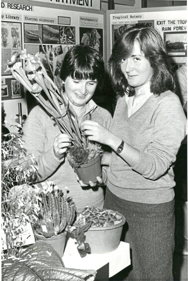 Two pupils examining plants
