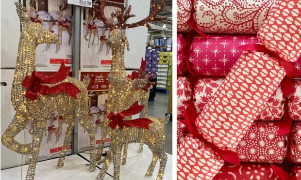 Joanne Warnock spotted these fine reindeer for sale in Costco.