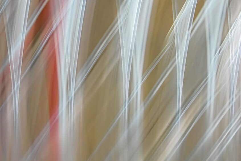 An abstract image of harplike lines.