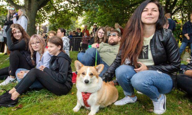 Rosie the Corgi watches The Queen's procession on Great Southern Road after it crossed the King George VI Bridge.