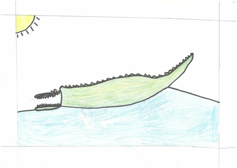 Luca, Age 11, Favourite Roald Dahl book: "The Enormous Crocodile."