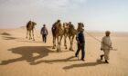 Mark Evans crossed the Empty Quarter desert in the Middle East