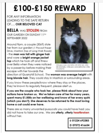 A poster with a £100-£150 reward for return of missing cat Bella