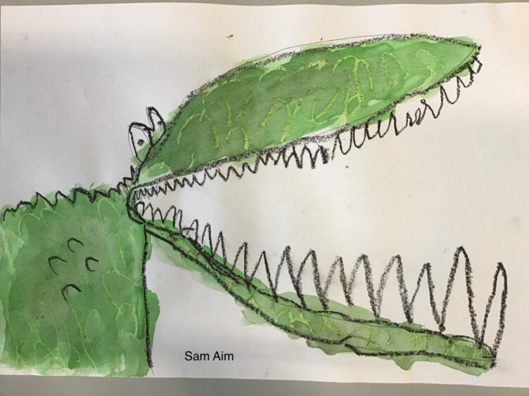 Sam, P2, Favourite Roald Dahl book: "The Enormous Crocodile"