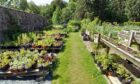 The Seed Box walled garden at Aboyne