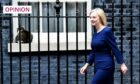 Larry the Downing Street cat isn't the only person in a huff with Liz Truss at the moment (Photo: James Veysey/Shutterstock)
