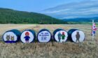 Dr Jenna Ross has painted the hay bales in the Queen's honour. Supplied by Dr Jenna Ross.