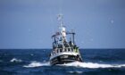 Fishing vessels are facing growing competition for space in Scottish waters. Image: Shutterstock