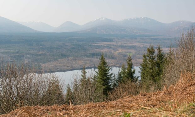 Plans for a campsite near Newtown, Invergarry, have led to fears the area's lost forest will never be replanted. Photo: Shutterstock