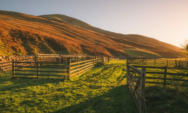 The new Land Reform Bill will have a major impact on landowners with more than 3,000 hectares.