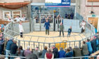 Perth Ram Society’s show and sale saw five-figure sums paid for a shearling and a lamb.