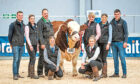 The Islavale team with Islavale Magnum, which reached 28,000gns.