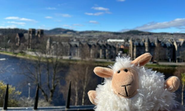 Lockie enjoys the view of the River Ness.