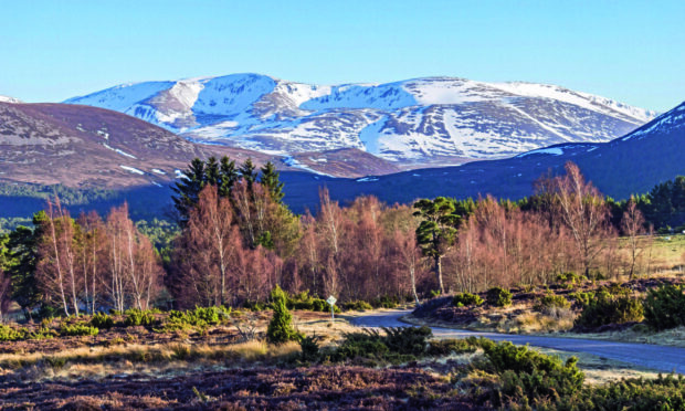 Cairngorms.