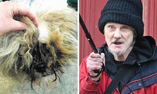 Graham Elrick's dogs were badly matted and suffering.