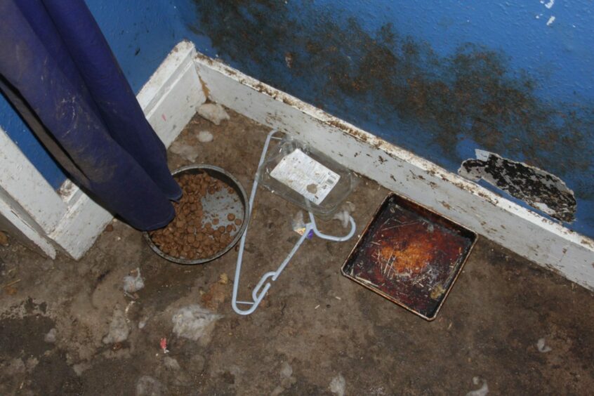 Dog food lying on a dirty floor and mud up the walls at a Moray puppy farm