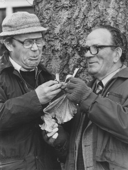 bbc at 100: Two men eating rubarb