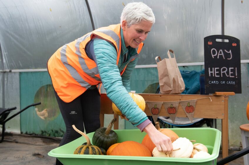 Jenny Fyall counting pumpkins in a wheelbarrow 