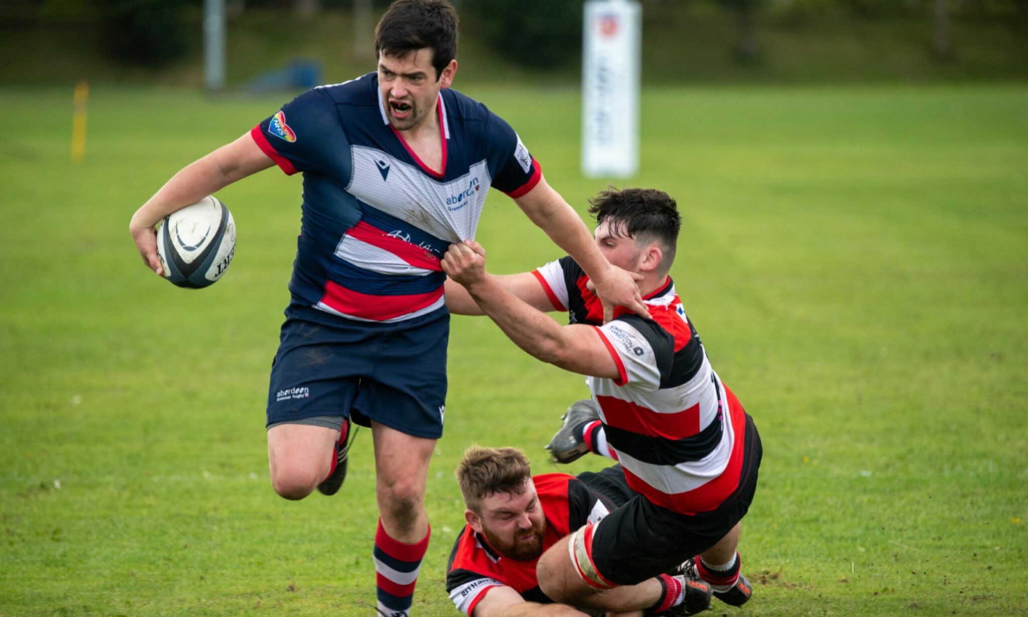 Rugby: Granite City gets derby 'it's crying out for' as Aberdeen ...