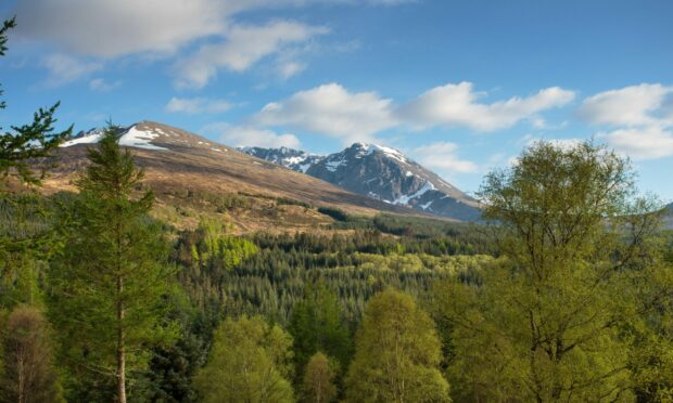 EE is planning to erect a 115ft tall mobile phone tower in Leanachan Forest on Aonach Mor, near Nevis Range.