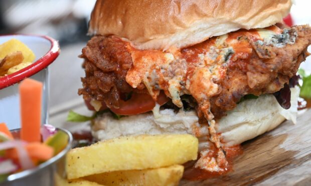 Buffalo burger, anyone? Picture by Paul Glendell / DC Thomson