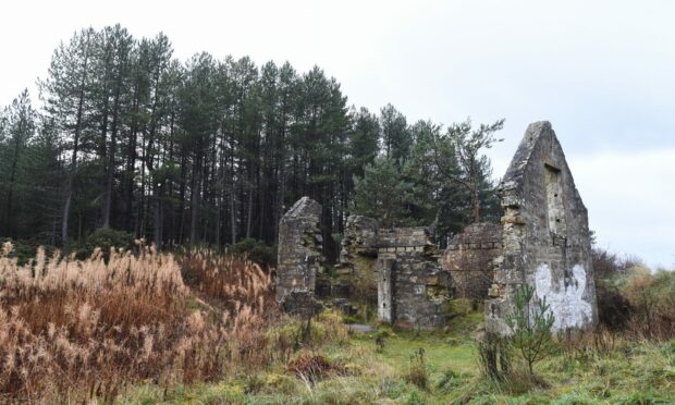 Planning applications for Millie Bothy has once again been met with objections. Image: Jason Hedges/ DC Thomson.