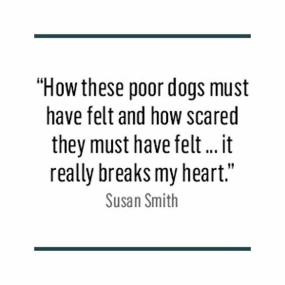 A quote card which reads: How these poor dogs must have felt and how scared they must have felt ... it really breaks my heart."