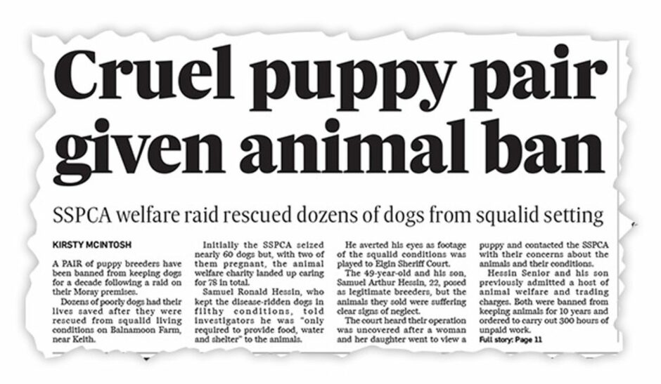 A newspaper headline which reads: 'Cruel puppy pair given animal ban'