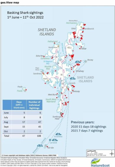 Basking shark sightings 2022