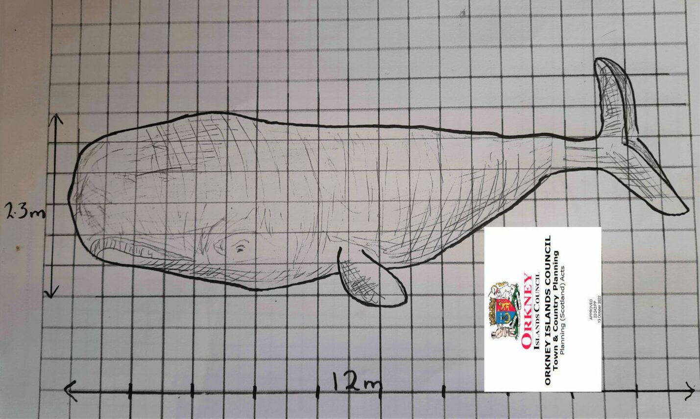 Planning go-ahead given to new picnic area featuring whale sculpture in Sanday - Vimarsana News