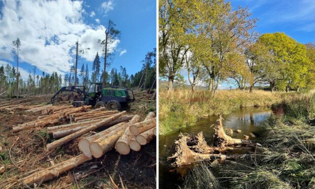 Trees which were damaged by Storm Arwen on Scolty Hill, left, have been repurposed in a habitat restoration project, right at the Beltie Burn near Torphins. Images: Forestry and Land Scotland/ Dee Catchment Partnership.