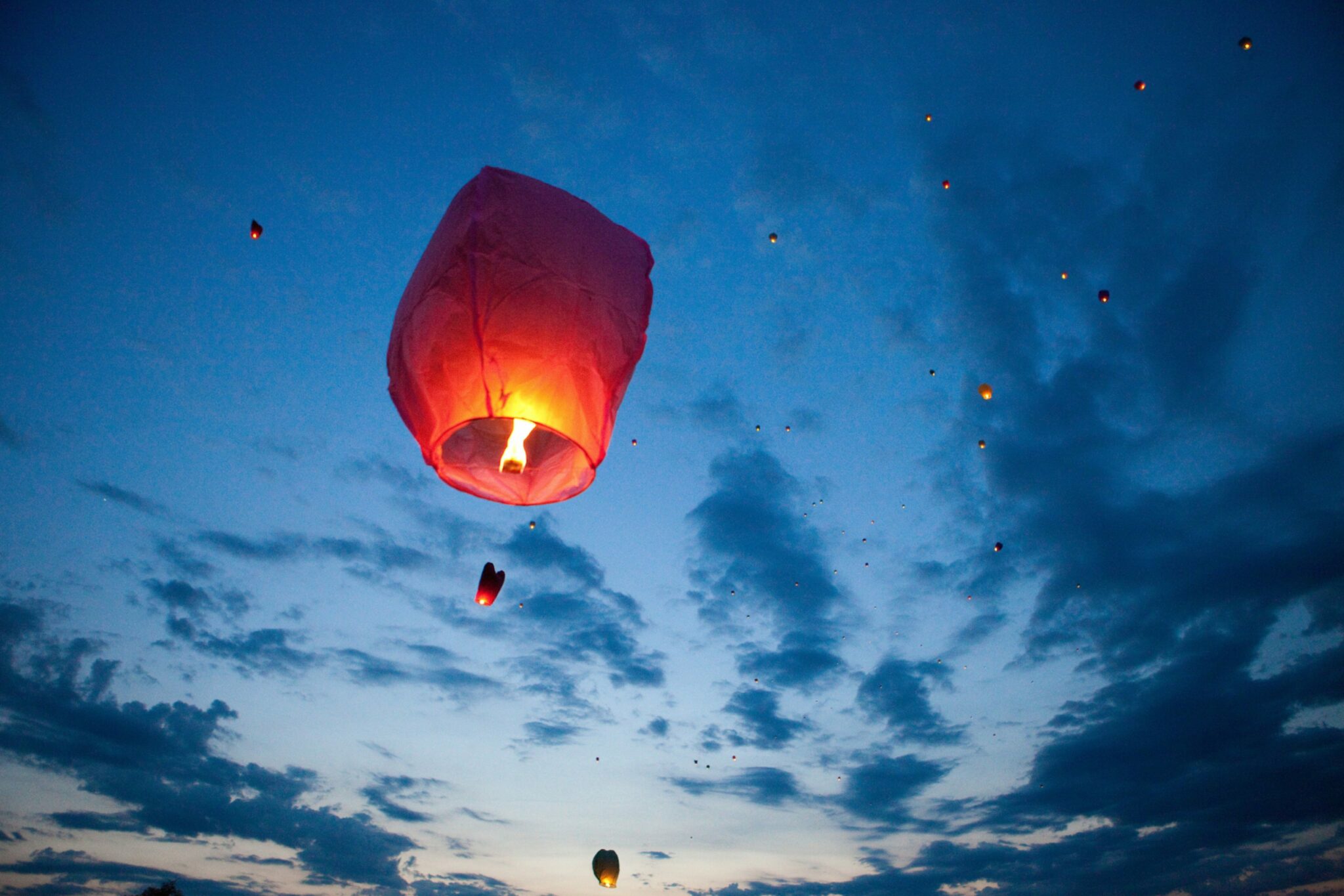 Don't light sky lanterns this Bonfire Night, say wildlife charities